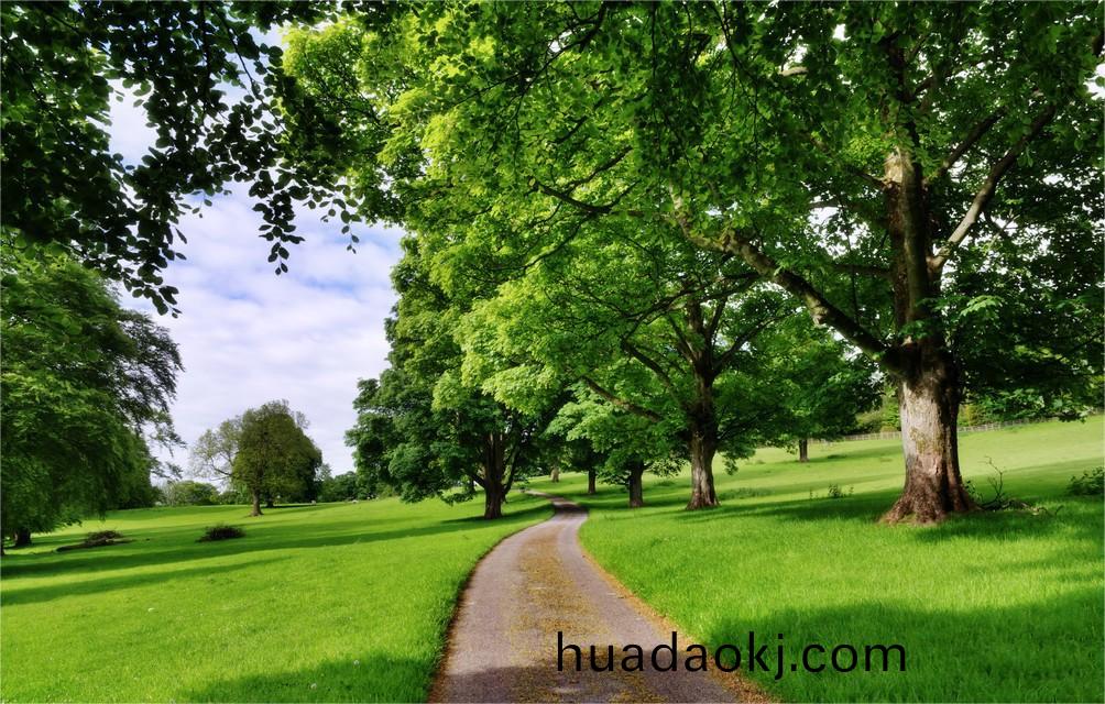 《“十四五”譟聲汚染防治行(xing)動計劃》重磅髮佈(bu)!- 